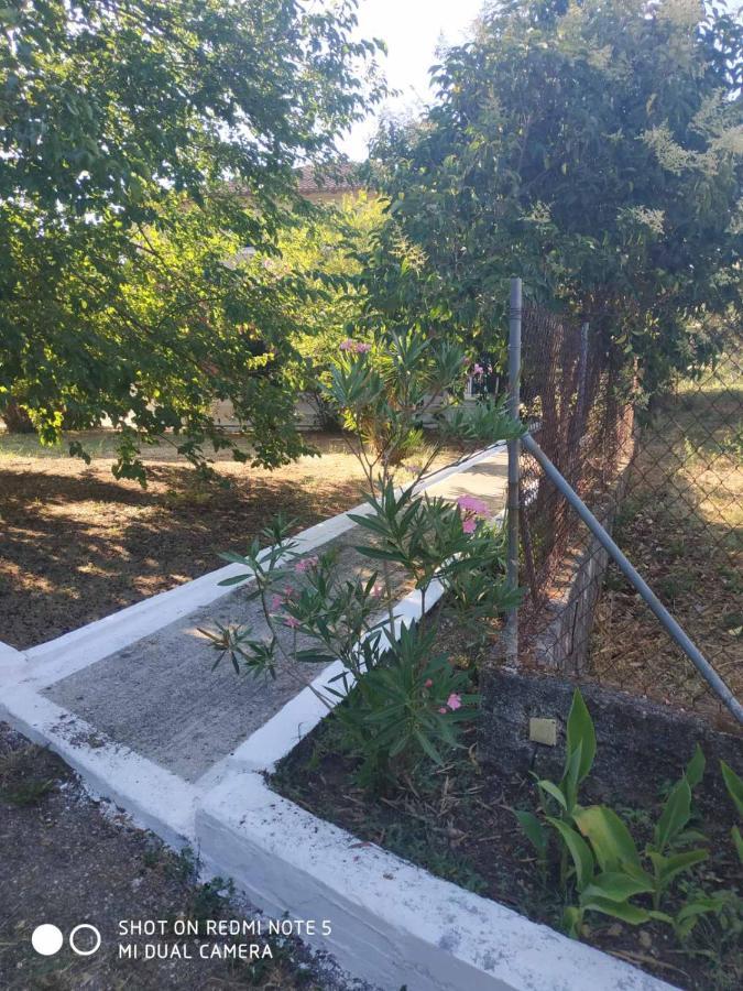 Dassia Green Apartments Bagian luar foto