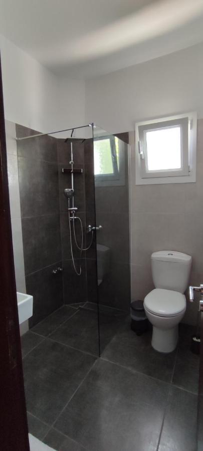Dassia Green Apartments Bagian luar foto